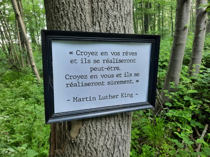 a sign posted on a tree in a forest
