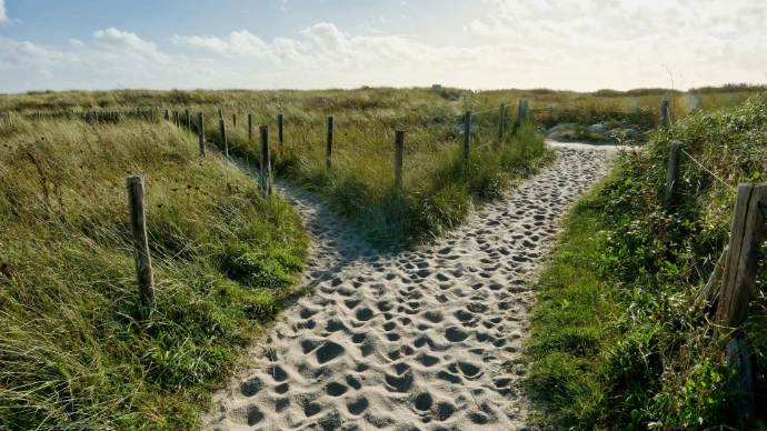A path in the middle of a grassy field